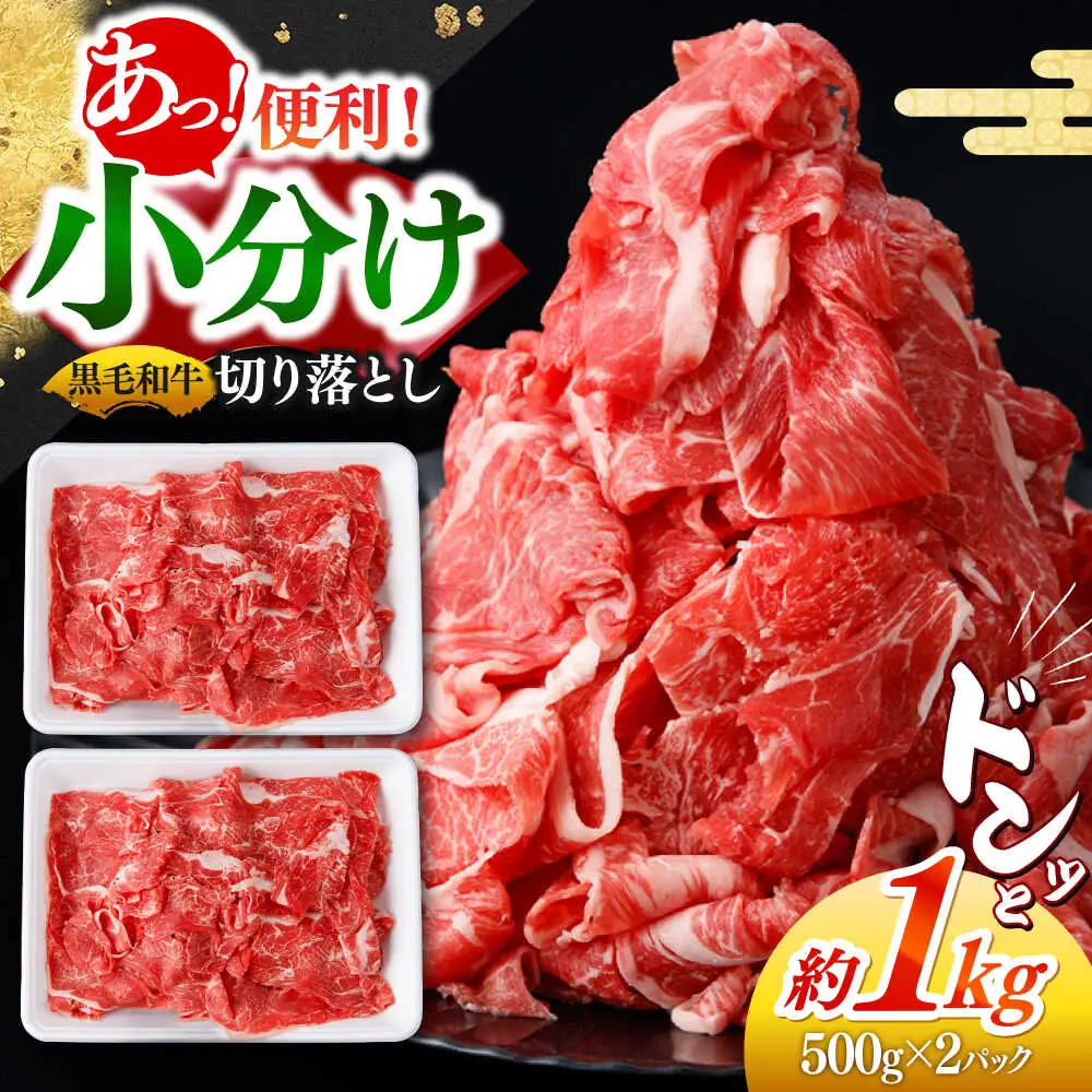 長崎県産 牛肉切り落とし1kg [SBA093] 牛肉