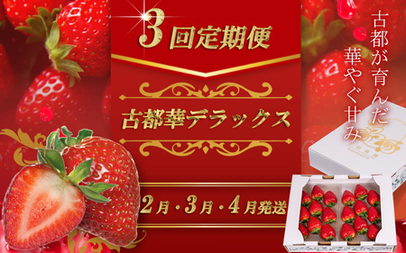 【定期便全3回】（2月・3月・4月）イチゴ 奈良県産高級ブランド品種「古都華」デラックス（280g×2パック） ことか 上田農園 苺 いちご 果物 フルーツ 甘い 奈良県 【tm-AS002-B】【上田農園】