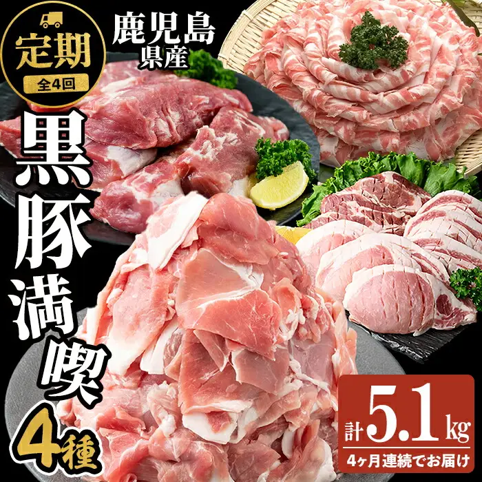 【定期便全4回】 鹿児島県産黒豚の満喫定期便(計5.1kg) 国産 鹿児島県産 黒豚 肉 豚肉 しゃぶしゃぶ ヒレ 豚ヒレ ヒレ肉 ひれかつ 豚カツ トンカツ トンテキ ブロック 定期便 小分け 食べ比べ セット t0058-004