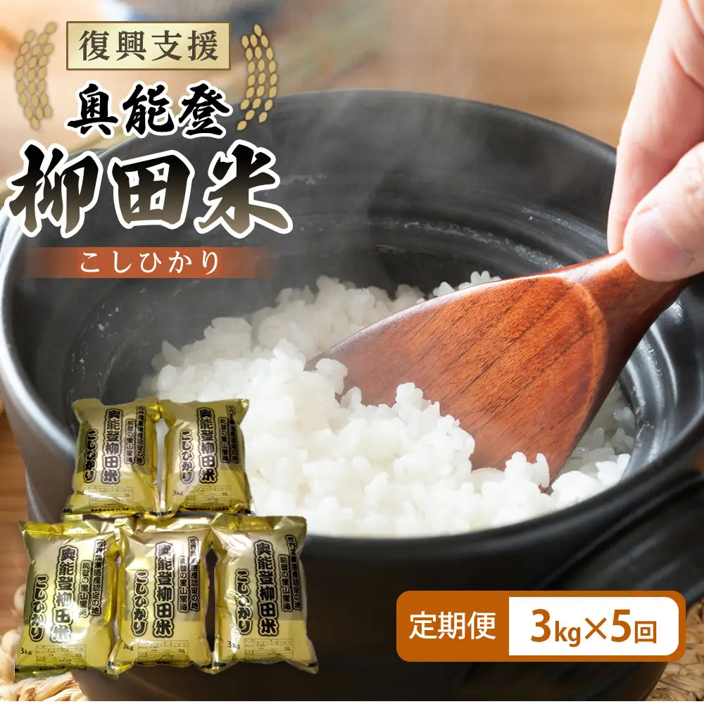 【復興支援】【定期便】【令和7年産】奥能登柳田米 B5こしひかり 3kg×5回（計15kg）