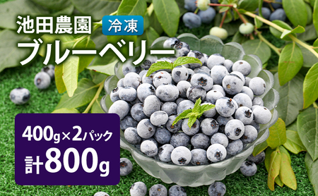 冷凍 ブルーベリー 800g (400g×2パック) 北海道産 フルーツ
