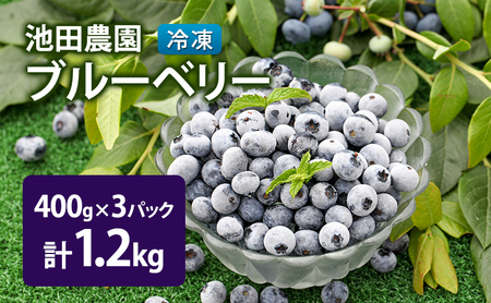 冷凍 ブルーベリー 1.2kg (400g×3パック) 北海道産 フルーツ