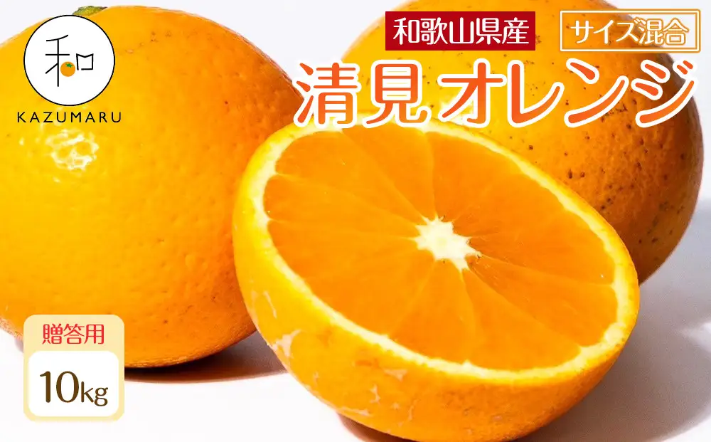贈答用 森本農園の手選別 厳選清見オレンジ 約10kg 和歌山県産 サイズ混合 ［北海道・沖縄・離島配送不可］［2027年2月上旬から順次発送予定］［RN90］