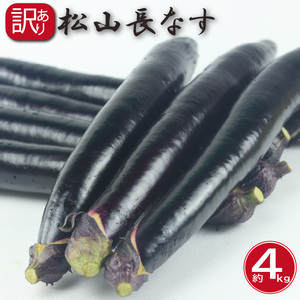 訳あり 松山長なす 約4kg 【2026年8月上旬より順次発送】 | なすなすなすなすなすなすなすなす 【VEG070】