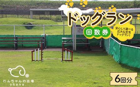 ドッグラン回数券 6回分（6,000円分）体験 ペット 犬 体験チケット チケット F6T-803