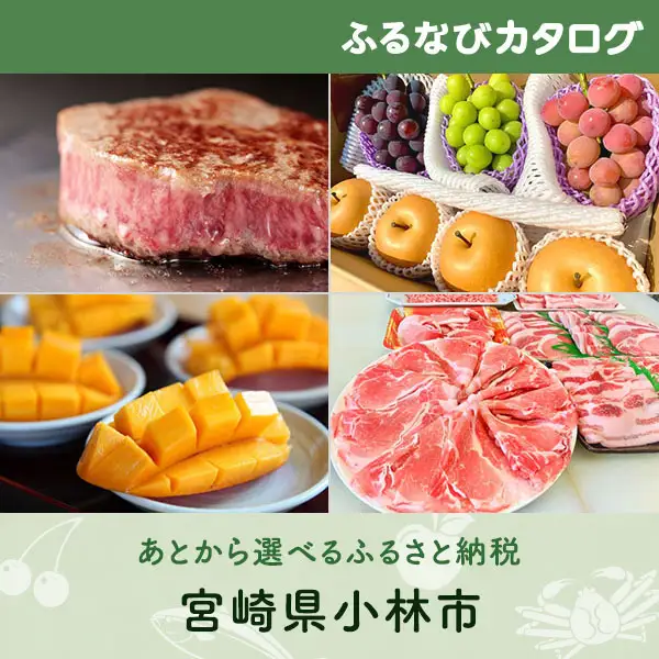 【有効期限なし！後からゆっくり特産品を選べる】宮崎県小林市カタログポイント