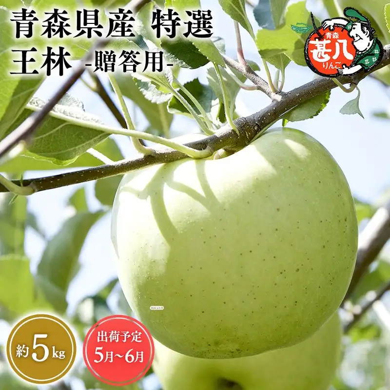 りんご 特選  王林 5kg クール便【hi-0058-059-0506】