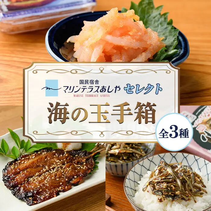 筑前芦屋 海の玉手箱セット(全3種) 明太 明太子 めんたい めんたいこ 海鮮 魚介 魚卵 いか イカ いかめんたい いか明太 いわし イワシ 鰯 いわしみりん あしやみりん みりんぼし いりこ セット 名物 おかず おつまみ 晩酌 冷凍【マリンテラスあしや】as13-009