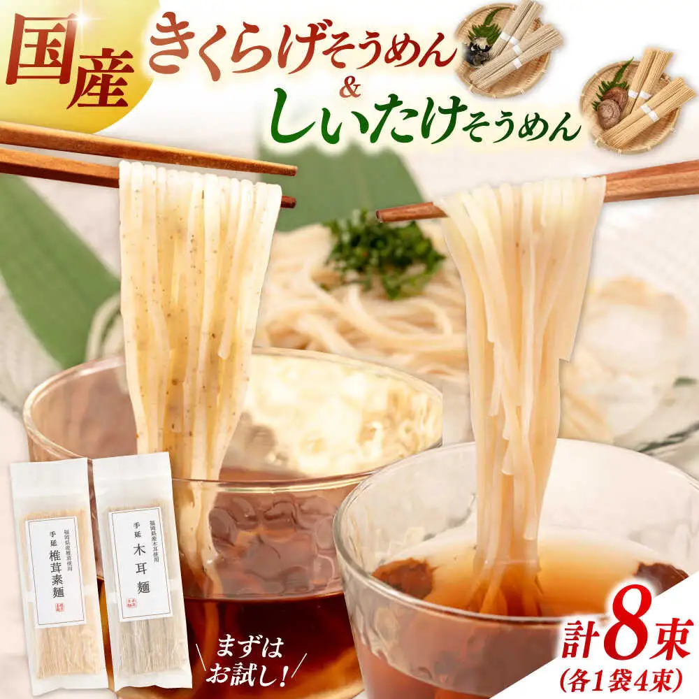 しいたけ素麺ときくらげ麺のセット（各2食分） ADBA017 素麺 そうめん 人気