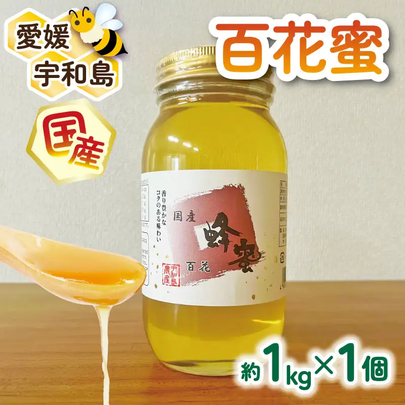 国産はちみつ 百花蜜 1kg 宇和島農産 純国産はちみつ F020-132010