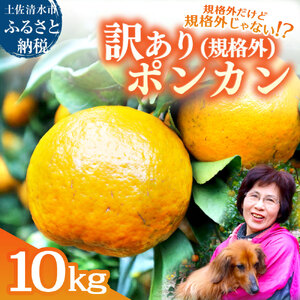 令和9年1月発送予定 規格外だけど規格外じゃない!? 訳あり 足摺ぽんかん 10kg デコポンの親 みかん 柑橘 果物 果実 ミカン ポンカン フルーツ おやつ デザート 5キロ 美味しい 井村農園【R01486】