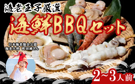 海鮮BBQセット 2～3人前 えび イカ ホタテ つぶ貝 シマホッケ