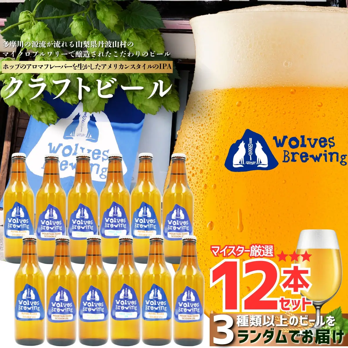 クラフトビール IPA 12本 ビール【tab0222-12】