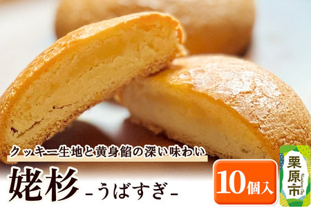 姥杉 10個入 お菓子 銘菓 黄身餡 老舗 喜久乃家