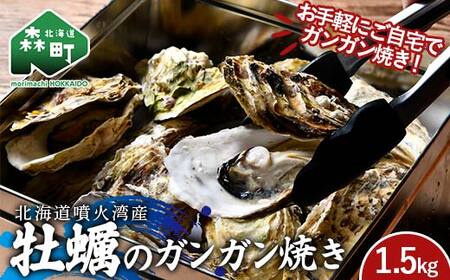 冷凍牡蠣のガンガン焼き 1.5kg 北海道噴火湾産 海産物 加工品 ほたて 帆立 ホタテ 魚介類 海鮮 森町 ふるさと納税 mr1-0982
