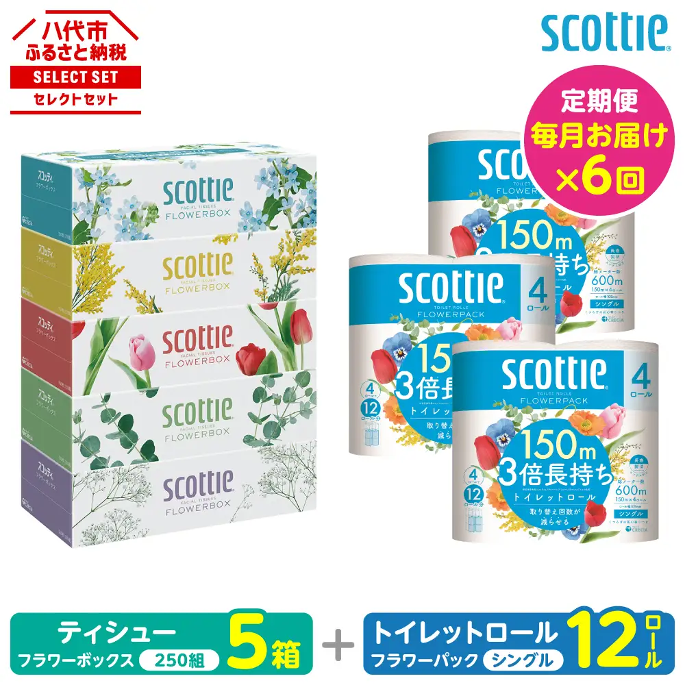 【定期便6回】【毎月お届け】【スコッティ】 組み合わせ ティシュー フラワーボックス 250組 5箱 計30箱 トイレットロール シングル フラワーパック 3倍長持ち 12ロール 計72ロール ティッシュ トイレットペーパー 日用品 ストック 防災備蓄 ストック 備蓄 新生活 防災 消耗品 生活用品 日用消耗品 箱ティッシュ