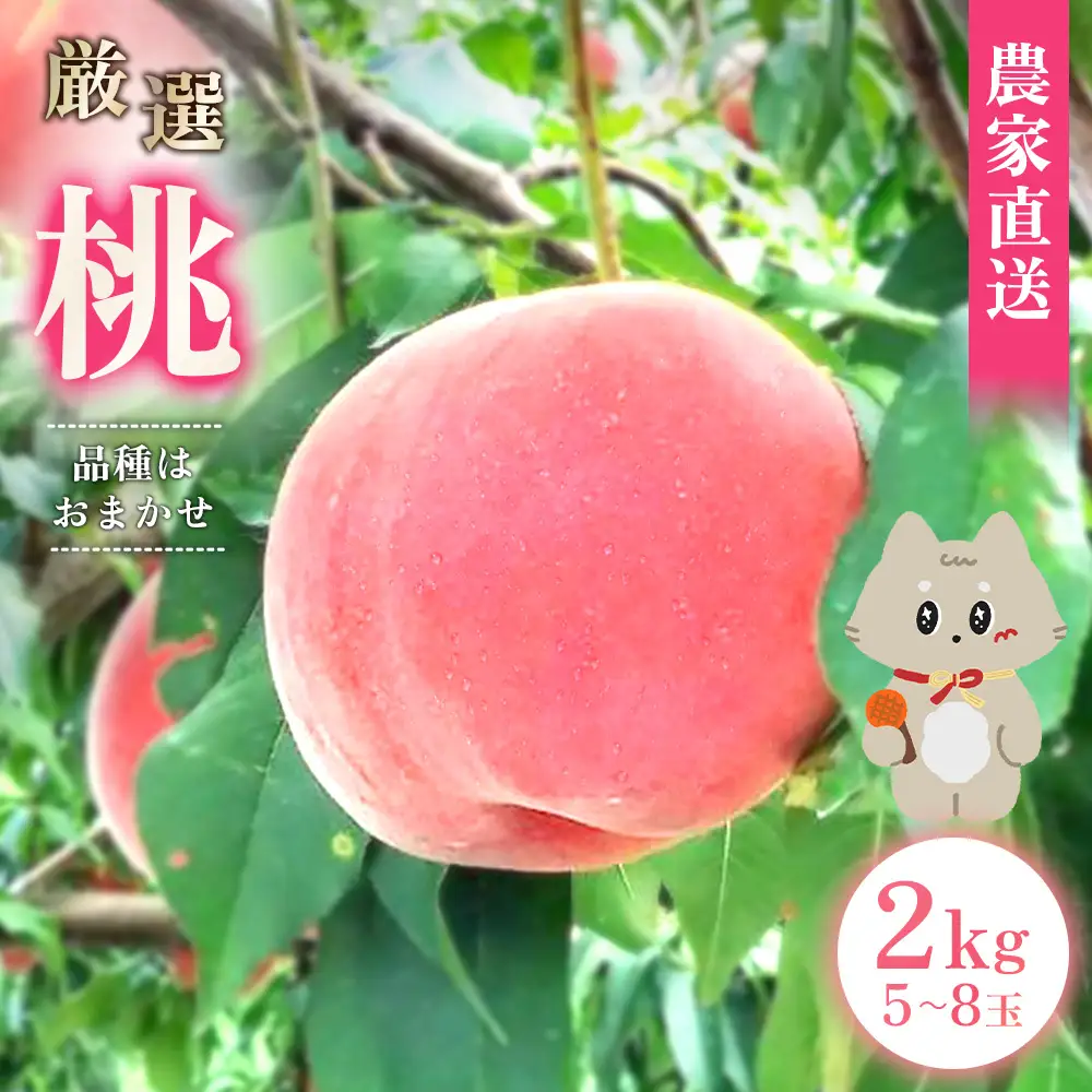 【先行予約】《7月中旬～9月中旬出荷》 宮城県丸森町産 桃 5～8玉（約2kg）【4800401】