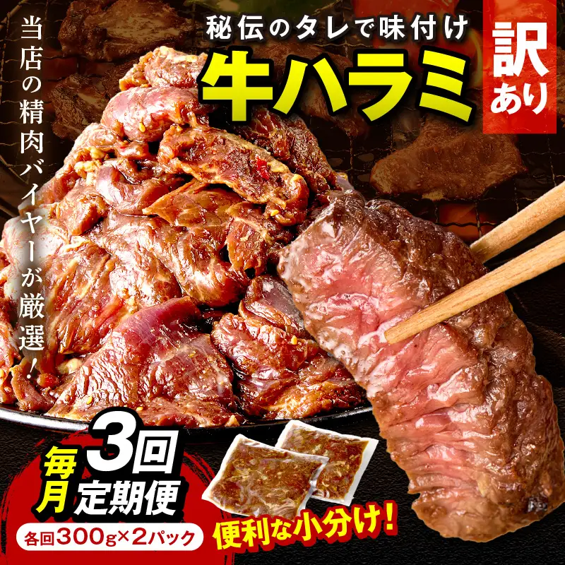 【定期便】【訳あり】牛ハラミ（サガリ） 秘伝のタレ込み 味付け肉 600g（300g×2パック）【定期便 毎月×3回】