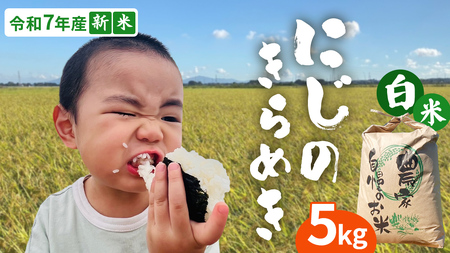 ＜ 新米 ＞ 令和7年産 茨城県産 白米 にじのきらめき 5kg 【2025年9月下旬より発送開始】 お米 ごはん 家庭用