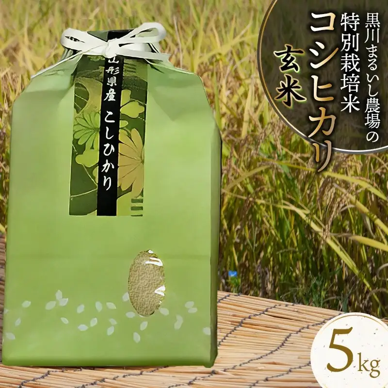 【令和7年産】 黒川まるいし農場の特別栽培米コシヒカリ玄米　5kg 　山形県鶴岡市産　K-734　| こしひかり 5キロ 米どころ 庄内米 ブランド米 米 コメ こめ 玄米 ご飯 ごはん 美味しい お取り寄せ 農家直送 東北 国産 おすすめ 人気 返礼品