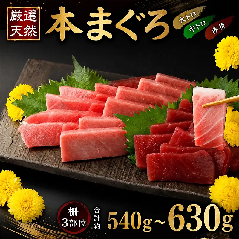 本まぐろ 食べ比べ セット 540g以上 まぐろ