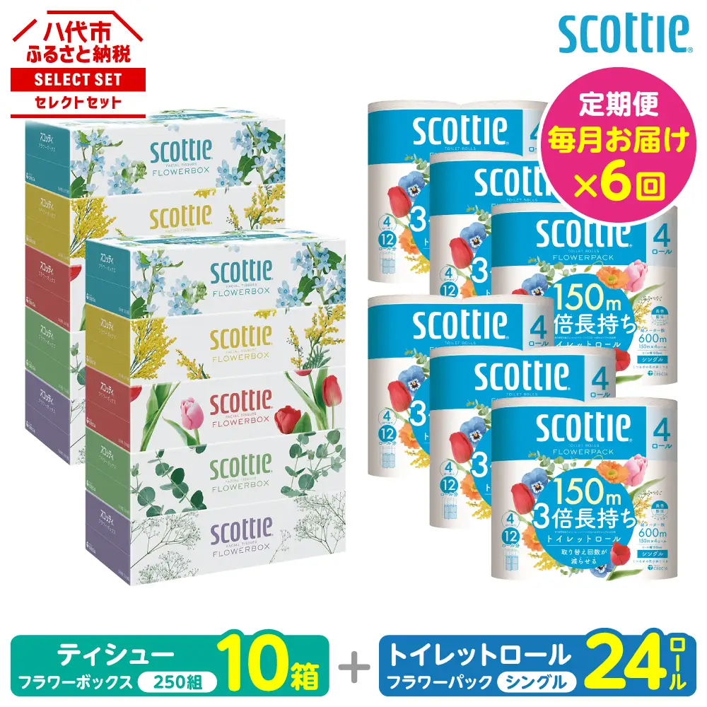 【定期便6回】【毎月お届け】【スコッティ】 組み合わせ ティシュー フラワーボックス 250組 10箱 計60箱 トイレットロール シングル フラワーパック 3倍長持ち 24ロール 計144ロール ティッシュ トイレットペーパー 日用品 ストック 防災備蓄 ストック 備蓄 新生活 防災 消耗品 生活用品 日用消耗品 箱ティッシュ