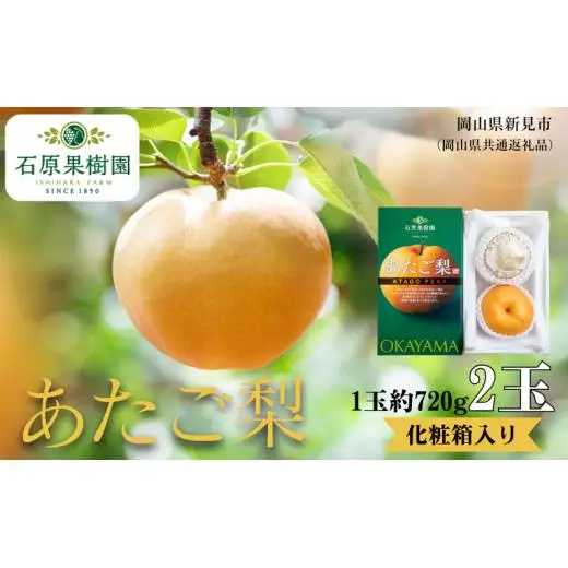 あたご梨 2玉 贈答 化粧箱 赤秀 約720g玉【先行予約 2026年11月中旬から順次発送】