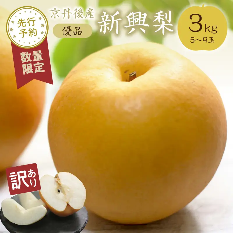 【先行予約／数量限定50】【訳あり】新興梨 優品 3kg（5～9玉入り）（2026年10月上旬～発送）