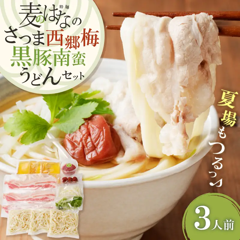 麦のはな の さつま西郷梅黒豚南蛮うどん セット K071-006