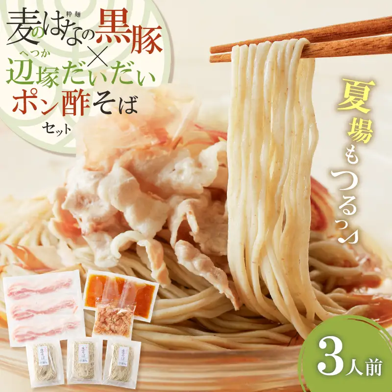 麦のはな の 黒豚 × 辺塚だいだいポン酢 そば セット【3人前】 K071-008 冷凍