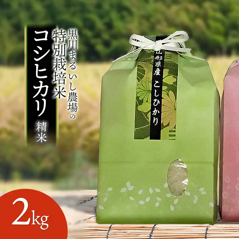 【令和7年産】 黒川まるいし農場の特別栽培米 コシヒカリ 2kg　山形県鶴岡市産　K-716　| こしひかり 2キロ 米どころ 庄内米 ブランド米 米 コメ こめ 精米 ご飯 ごはん 美味しい お取り寄せ 農家直送 東北 国産 おすすめ 人気 返礼品