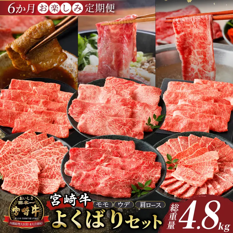 6か月お楽しみ定期便『宮崎牛よくばりセット』総重量4.8kg 肉 牛 牛肉 おかず 国産_T030-1846