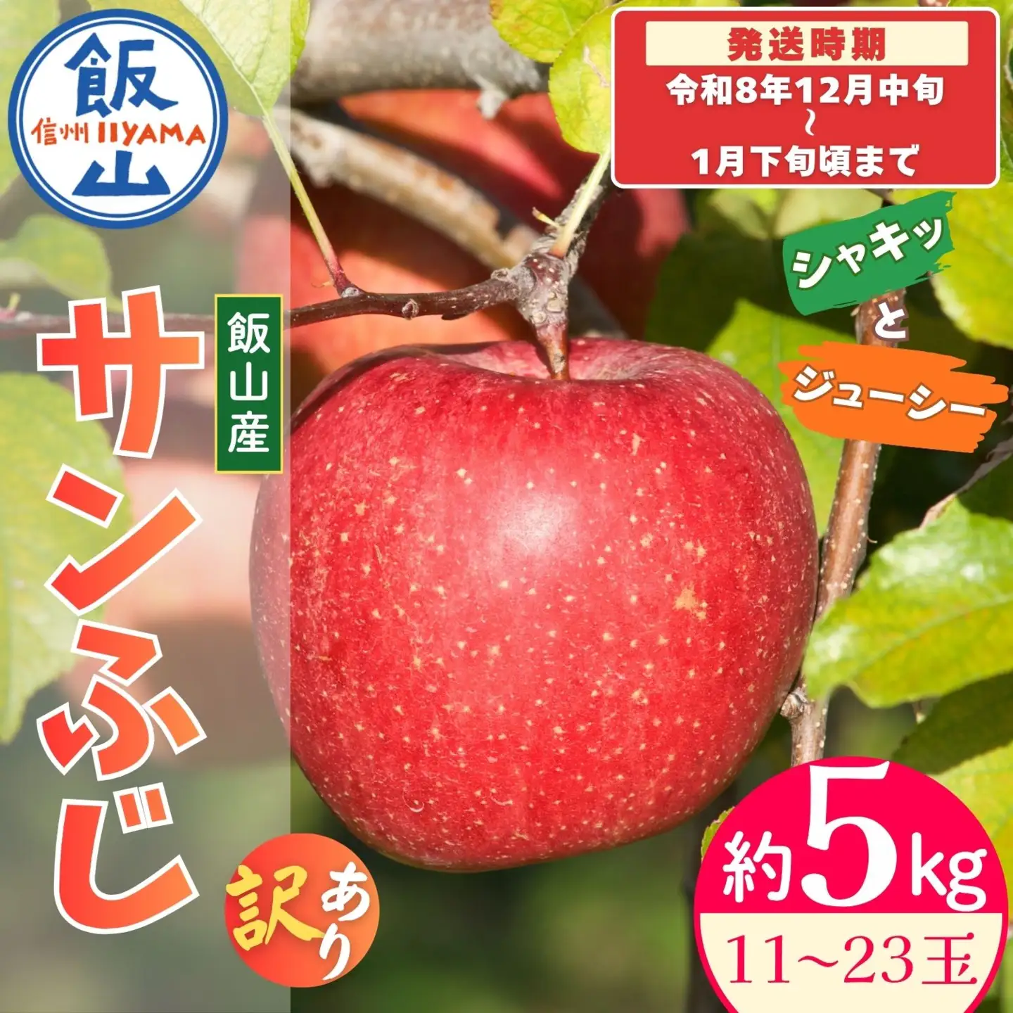 【先行予約│2026年12月中旬より順次発送】訳あり サンふじ 【約5kg(11〜23玉)】│長野県 飯山市 直送(At-036) 