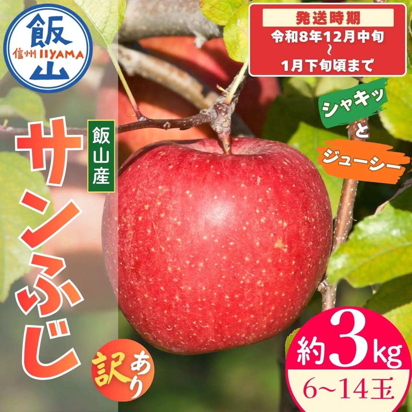 【先行予約│2026年12月中旬より順次発送】訳あり サンふじ 【約3kg(6〜14玉)】│長野県 飯山市 (At-035)