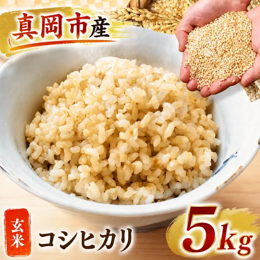 【令和8年産 先行予約】真岡市産 こしひかり 玄米 5kg |  