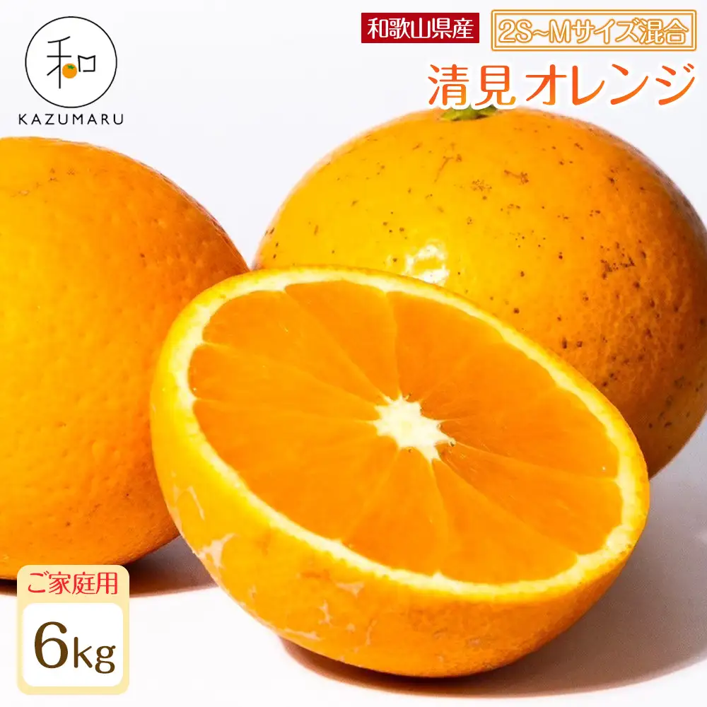 家庭用 森本農園の手選別 小粒清見オレンジ 約6kg 和歌山県産 2S～Mサイズ混合 ［北海道・沖縄・離島配送不可］［2027年2月上旬から順次発送予定］［RN93］