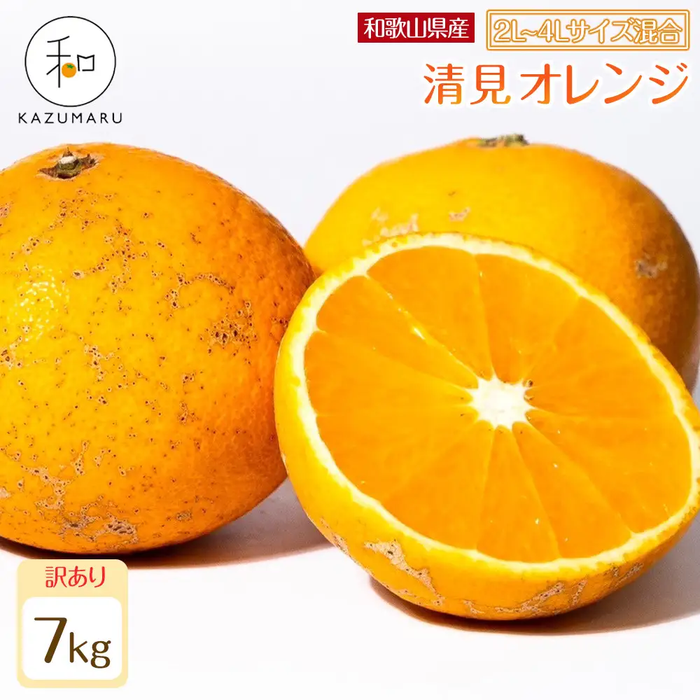 訳あり 森本農園の手選別 大玉清見オレンジ 約7kg 和歌山県産 2L~4Lサイズ混合 ［北海道・沖縄・離島配送不可］［2027年2月上旬から順次発送予定］［RN103］