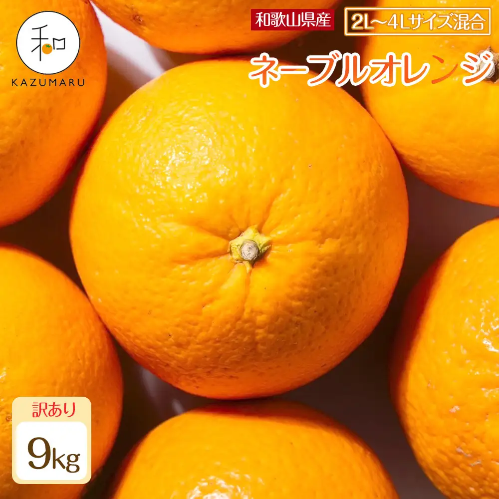 訳あり 森本農園の手選別 大玉ネーブルオレンジ 約9kg 和歌山県産 2L~4Lサイズ混合 ［北海道・沖縄・離島配送不可］［2027年1月上旬から順次発送］［RN109］