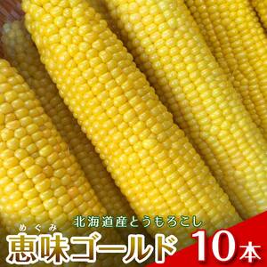 【2026年8月1日より順次発送】北海道産とうもろこし（恵味ゴールド10本） EB8-0444