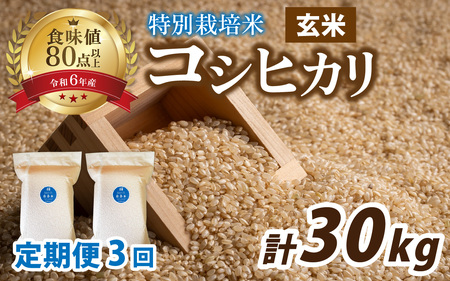 【先行予約】【3ヶ月連続お届け】【令和8年産 新米】南条米 特別栽培米コシヒカリ 真空パック 玄米 10kg(5kg×2袋)×3ヶ月 (計30kg)[J-011001] 福井 甘味