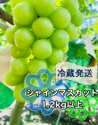 ＜2026年発送先行予約＞クール便で新鮮にお届け！シャインマスカット 1.2kg（1～2房） ALPEG002