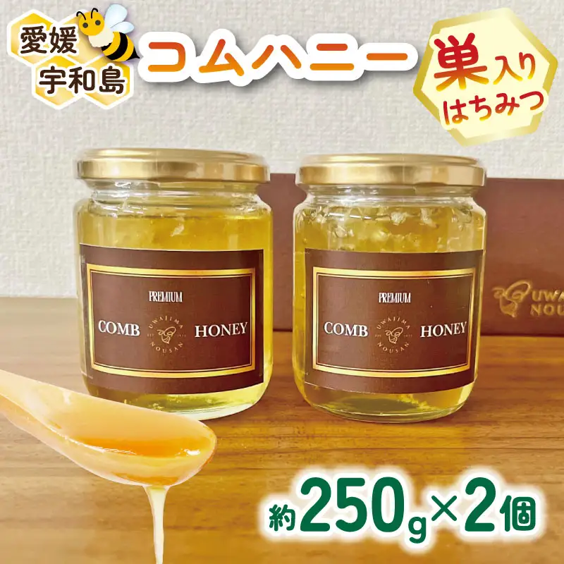 巣蜜 コムハニー 250g × 2個 セット 宇和島農産 ハニー F018-132012