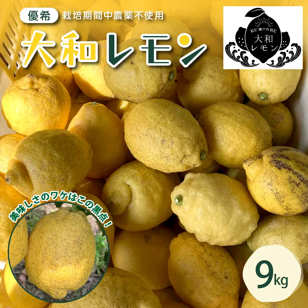 【先行受付】【2026年11月～発送】栽培期間中農薬不使用　大和レモン 9kg ku044-014-26
