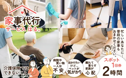 家事代行サービス　スポット　2時間／回　100P8405【家事代行サービス はる。】