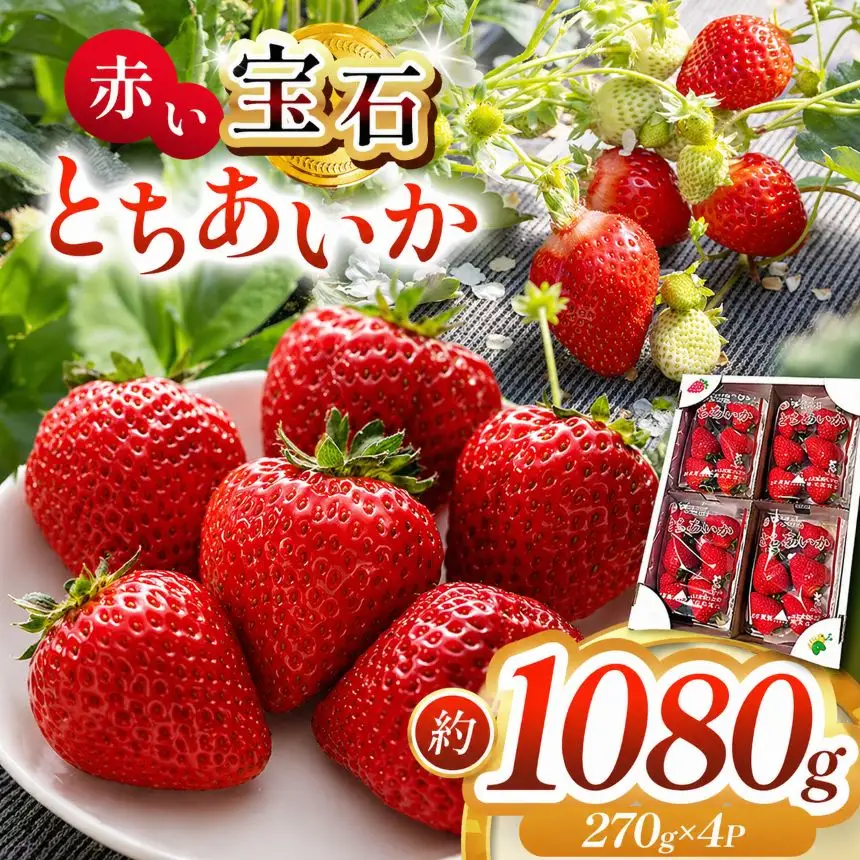 【2027年先行予約】真岡市産 赤い宝石「とちあいか」いちご イチゴ 選べる 1080g （CN)