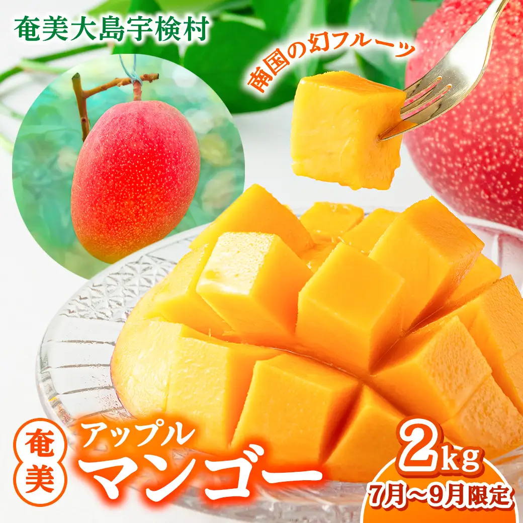 【2026年7月～9月発送】今が旬！ 完熟 アップル マンゴー 2kg（4～6玉）モトキ農園 鹿児島県 奄美大島 宇検村 南国 マンゴー フルーツ 果物