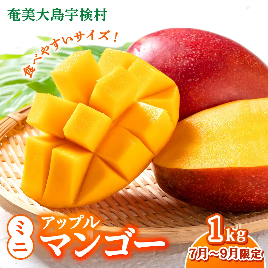 【2026年7月～9月発送】今が旬！ 完熟 アップル マンゴー ミニサイズ 1kg（8～10玉）モトキ農園 鹿児島県 奄美大島 宇検村 南国 マンゴー フルーツ 果物