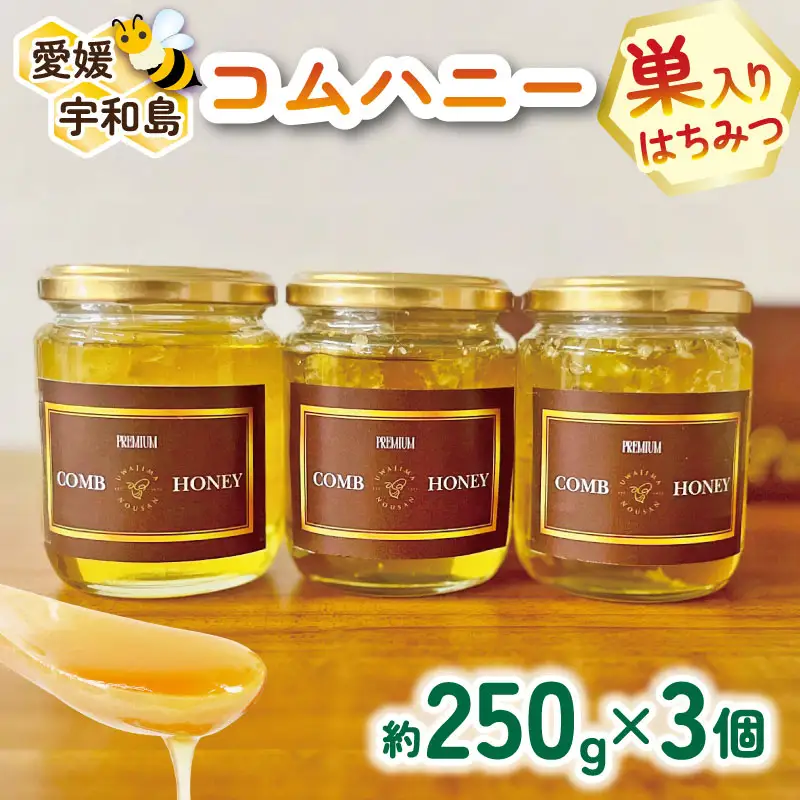 巣蜜 コムハニー 250g × 3個 セット 宇和島農産 ハニー F025-132013