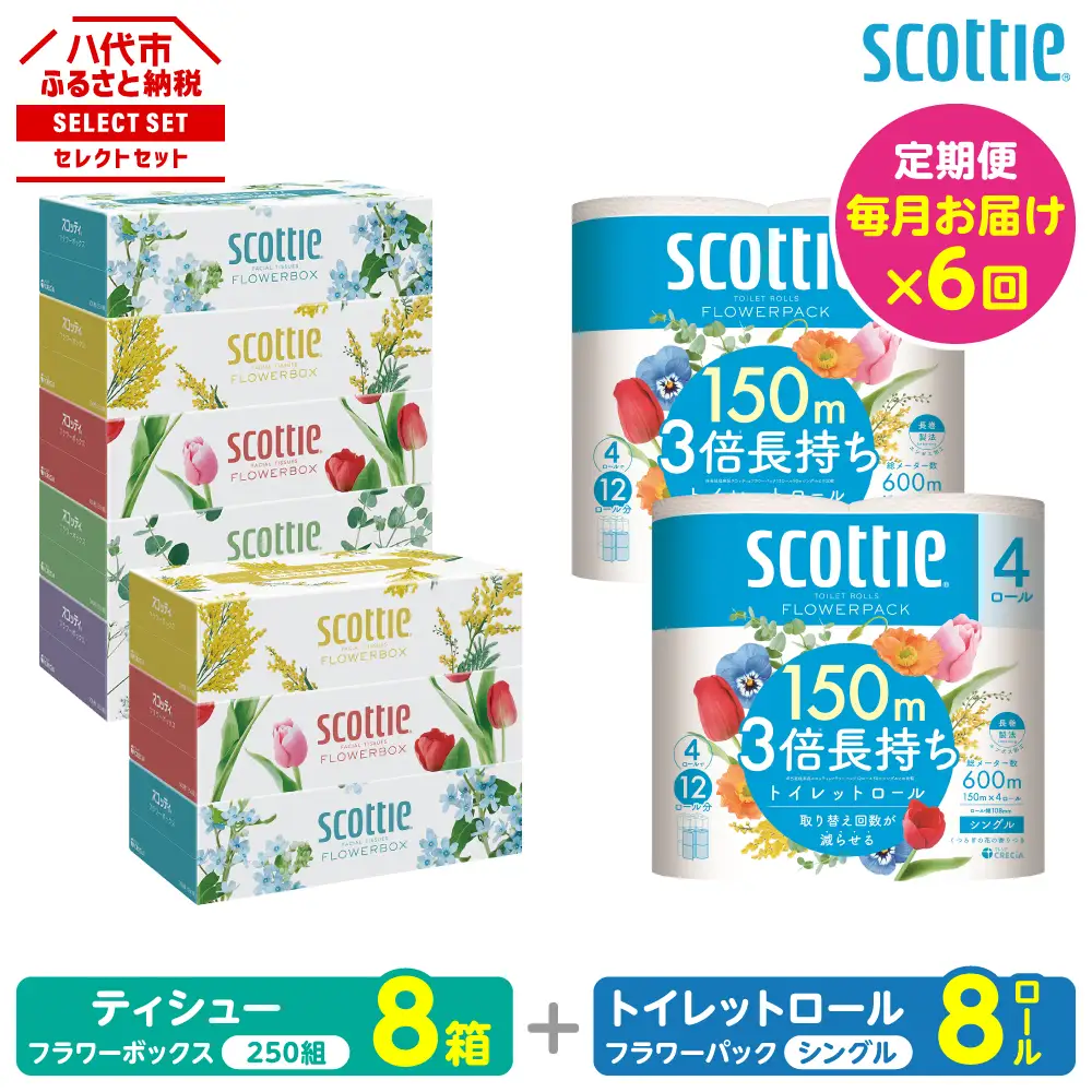 【定期便6回】【毎月お届け】【スコッティ】 組み合わせ ティシュー フラワーボックス 250組 8箱 計48箱 トイレットロール シングル フラワーパック 3倍長持ち 8ロール 計48ロール ティッシュ トイレットペーパー 日用品 ストック 防災備蓄 ストック 備蓄 新生活 防災 消耗品 生活用品 日用消耗品 箱ティッシュ