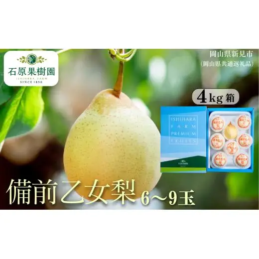 備前乙女梨 4kg箱 赤秀 6～9玉入り 【先行予約 2026年11月中旬から順次発送】